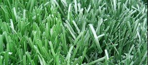 Kunstgras